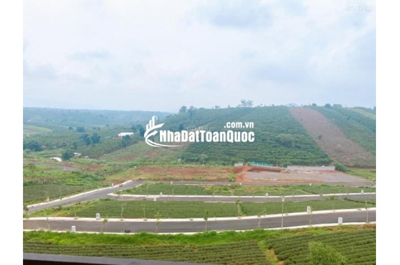 Bán rẻ lô đất thổ cư - cạnh Làng Pháp Bảo Lộc siêu hot